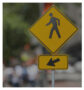 Pedestrian Accidents