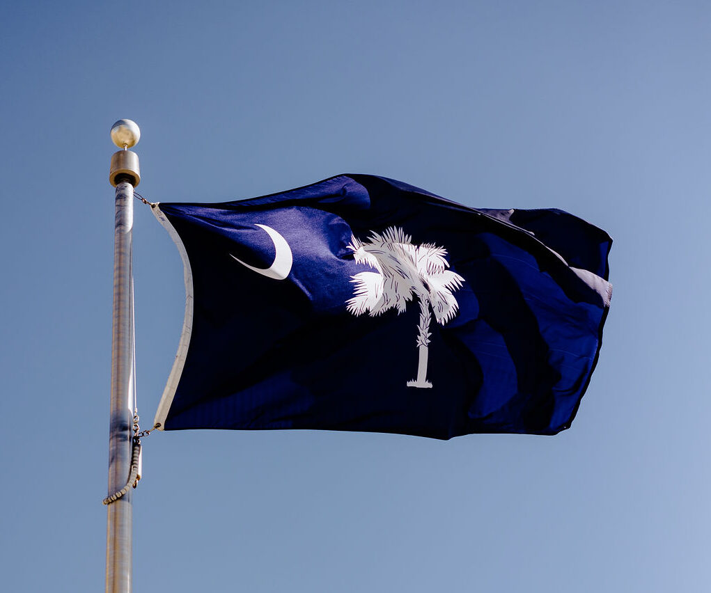 image of south carolina flag flying on pole